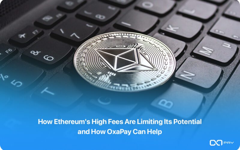Ethereum's High Fees
