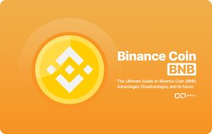 Платежный шлюз Binance Coin