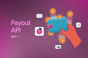 OxaPay Payout API