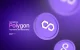 Accepting Polygon Payments for Merchants