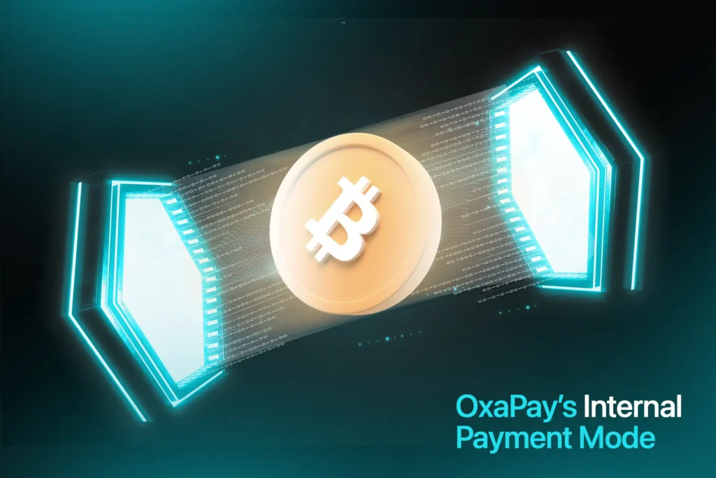 Optimizing Productivity with OxaPay’s Internal Payment Mode