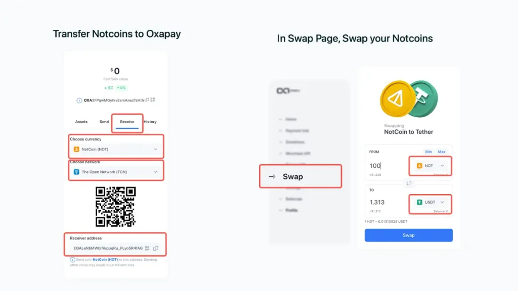 Using the OxaPay Website
